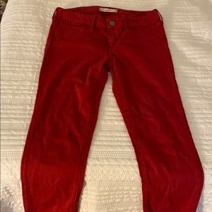 Dark red legging jean